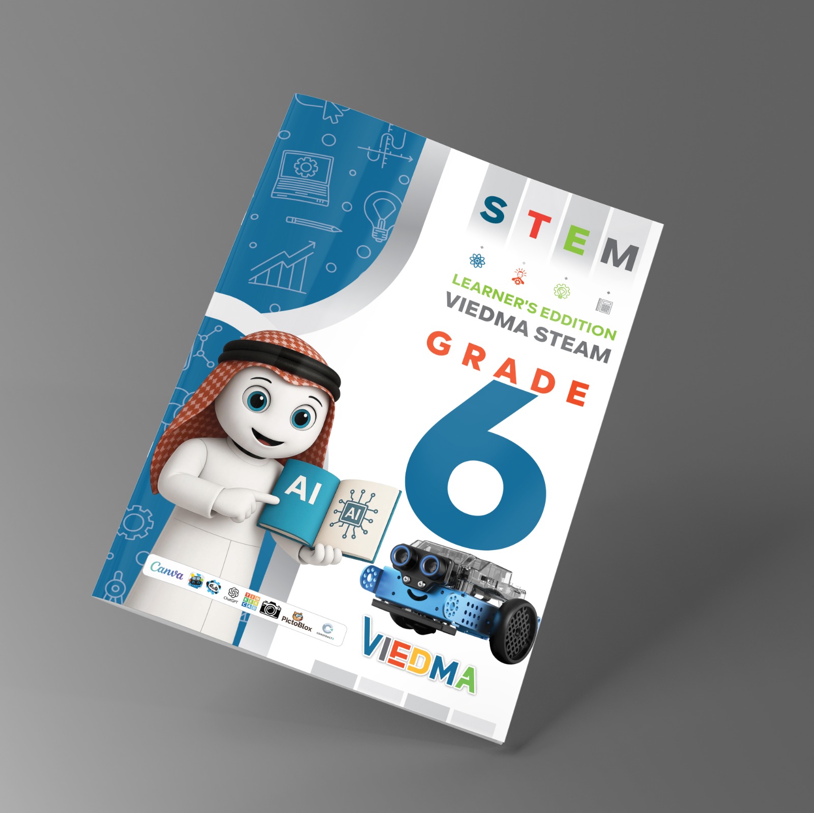 VIEDMA STEAM – AI Innovator (Level 6)